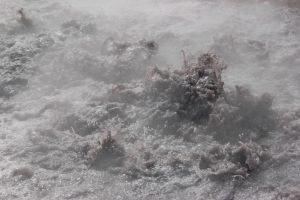 solfatara